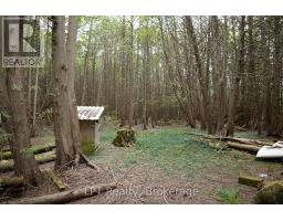 Pt Lt 48-50 Crawford Road, Chatsworth, ON N0H1C0 Photo 18