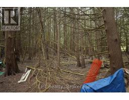 Pt Lt 48-50 Crawford Road, Chatsworth, ON N0H1C0 Photo 20