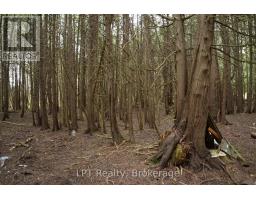Pt Lt 48-50 Crawford Road, Chatsworth, ON N0H1C0 Photo 21