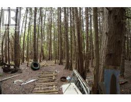Pt Lt 48-50 Crawford Road, Chatsworth, ON N0H1C0 Photo 22