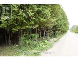 Pt Lt 48-50 Crawford Road, Chatsworth, ON N0H1C0 Photo 9