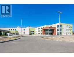 70 Martindale Boulevard Ne, Calgary, AB T3J3H3 Photo 36