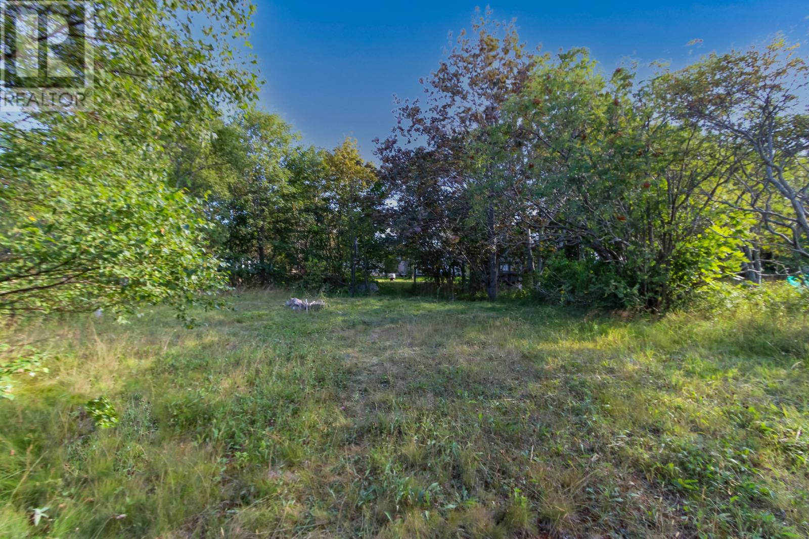 309 Freshwater Road, St. John's — photo 2