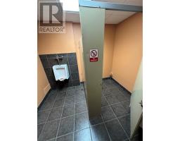 103 Lincoln Road, Grand Falls Windsor, NL A2A1P3 Photo 26