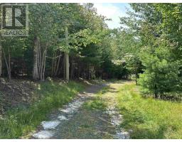 2272 French River Road, French River, NS B0K1G0 Photo 10