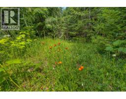 Richlands Road, Cherryville, BC V0E2G1 Photo 41
