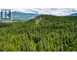 Richlands Road, Cherryville, BC V0E2G1 Photo 10