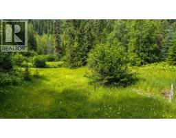 Richlands Road, Cherryville, BC V0E2G1 Photo 17