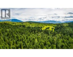 Richlands Road, Cherryville, BC V0E2G1 Photo 19