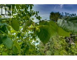 Richlands Road, Cherryville, BC V0E2G1 Photo 33