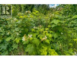 Richlands Road, Cherryville, BC V0E2G1 Photo 32