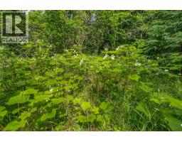 Richlands Road, Cherryville, BC V0E2G1 Photo 39