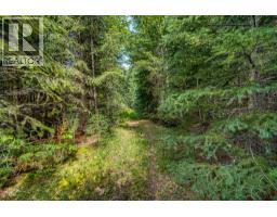 Richlands Road, Cherryville, BC V0E2G1 Photo 40