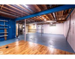241 Oeming Rd Nw, Edmonton, AB T6R1M3 Photo 27