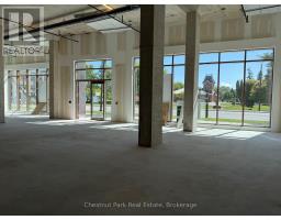 102 - 31 Huron Street, Collingwood, ON L9Y5T7 Photo 10
