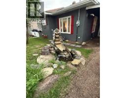 4703 47 Avenue, Myrnam, AB T0B3K0 Photo 46