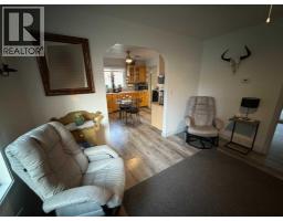 4703 47 Avenue, Myrnam, AB T0B3K0 Photo 18