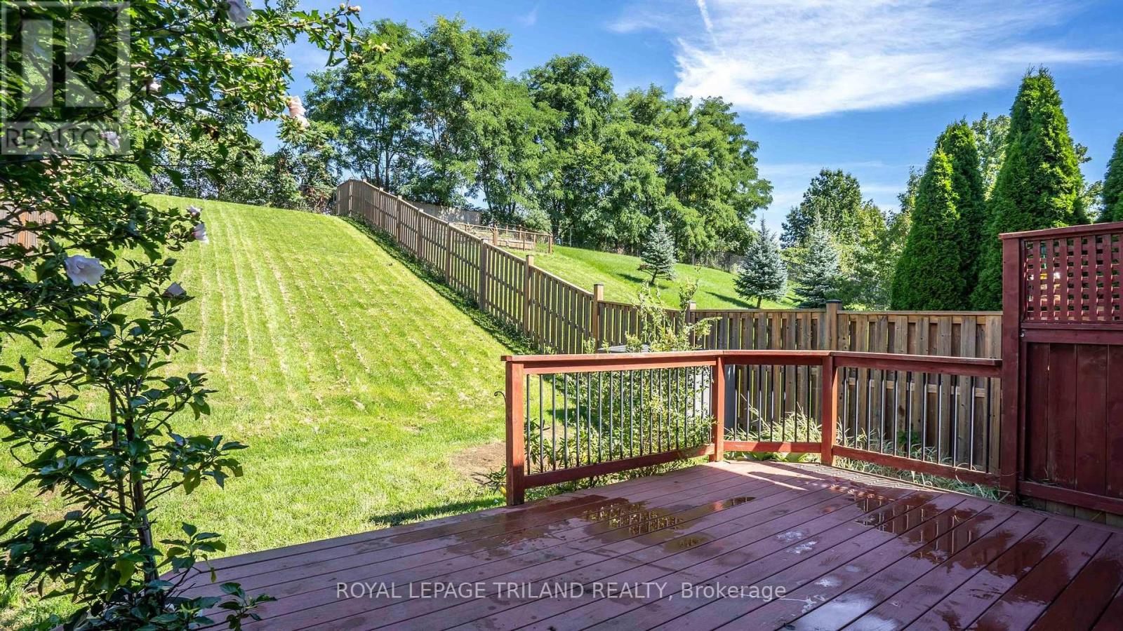 994 MAPLERIDGE STREET - 30