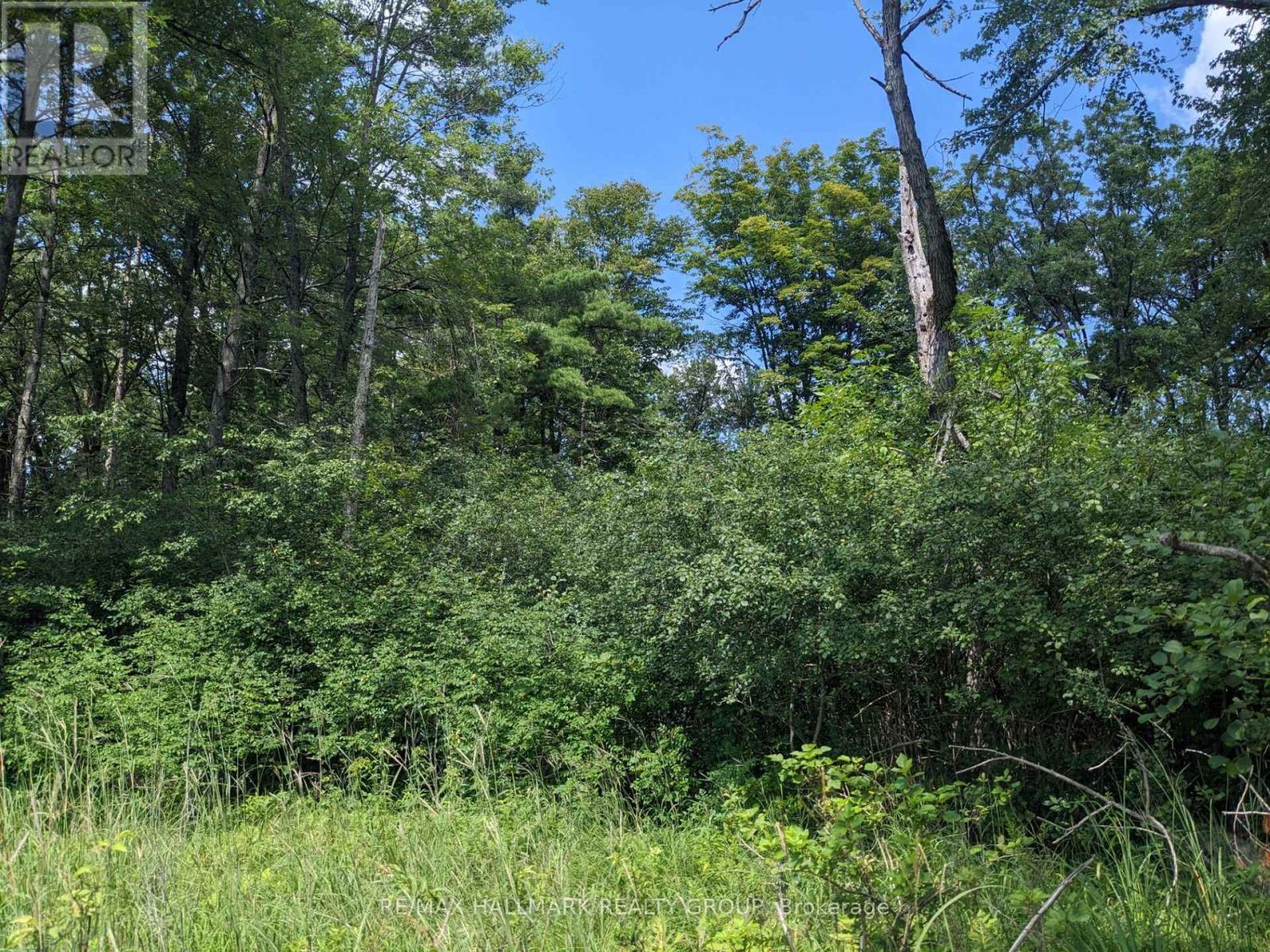 Land for Sale in Ottawa – 180 KEDEY ISLAND, Ottawa – MLS# X13772968 - Image 4