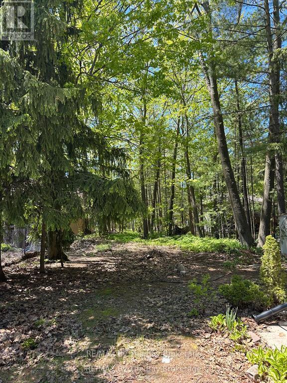 134 SUNNIDALE ROAD - 5