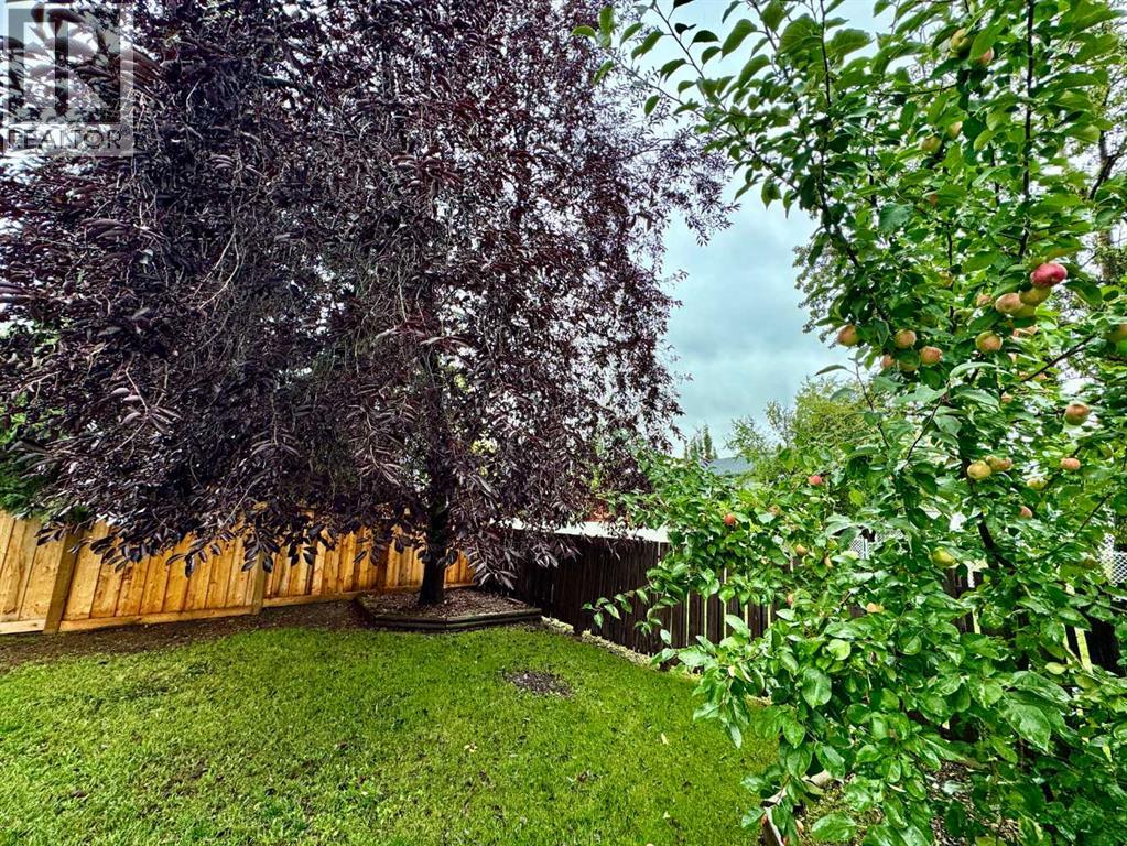 9510 81 Avenue - 26
