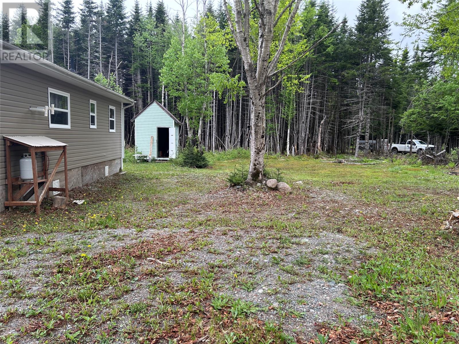 00 Harrys River OTHER, Gallants — photo 3