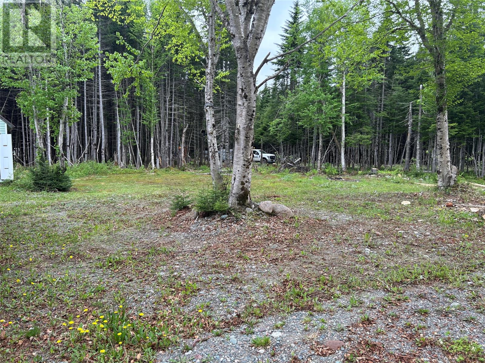 00 Harrys River OTHER, Gallants — photo 4