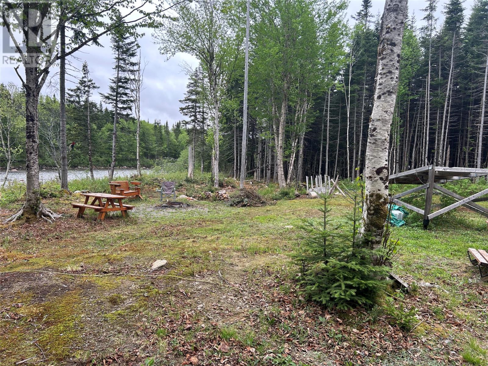 00 Harrys River OTHER, Gallants — photo 5