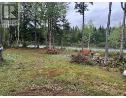 00 Harrys River Other, Gallants, NL A0L1G0 Photo 6