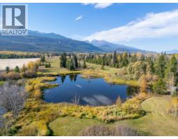 1655 S Highway 5, Valemount, BC V0E2Z0 Photo 6