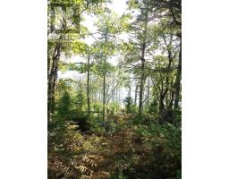 Lot 2 Shad Bay, Lot 2 Grant 1033 Northwesthead, Shad Bay, NS B3T2B5 Photo 16