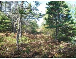 Lot 2 Shad Bay, Lot 2 Grant 1033 Northwesthead, Shad Bay, NS B3T2B5 Photo 17