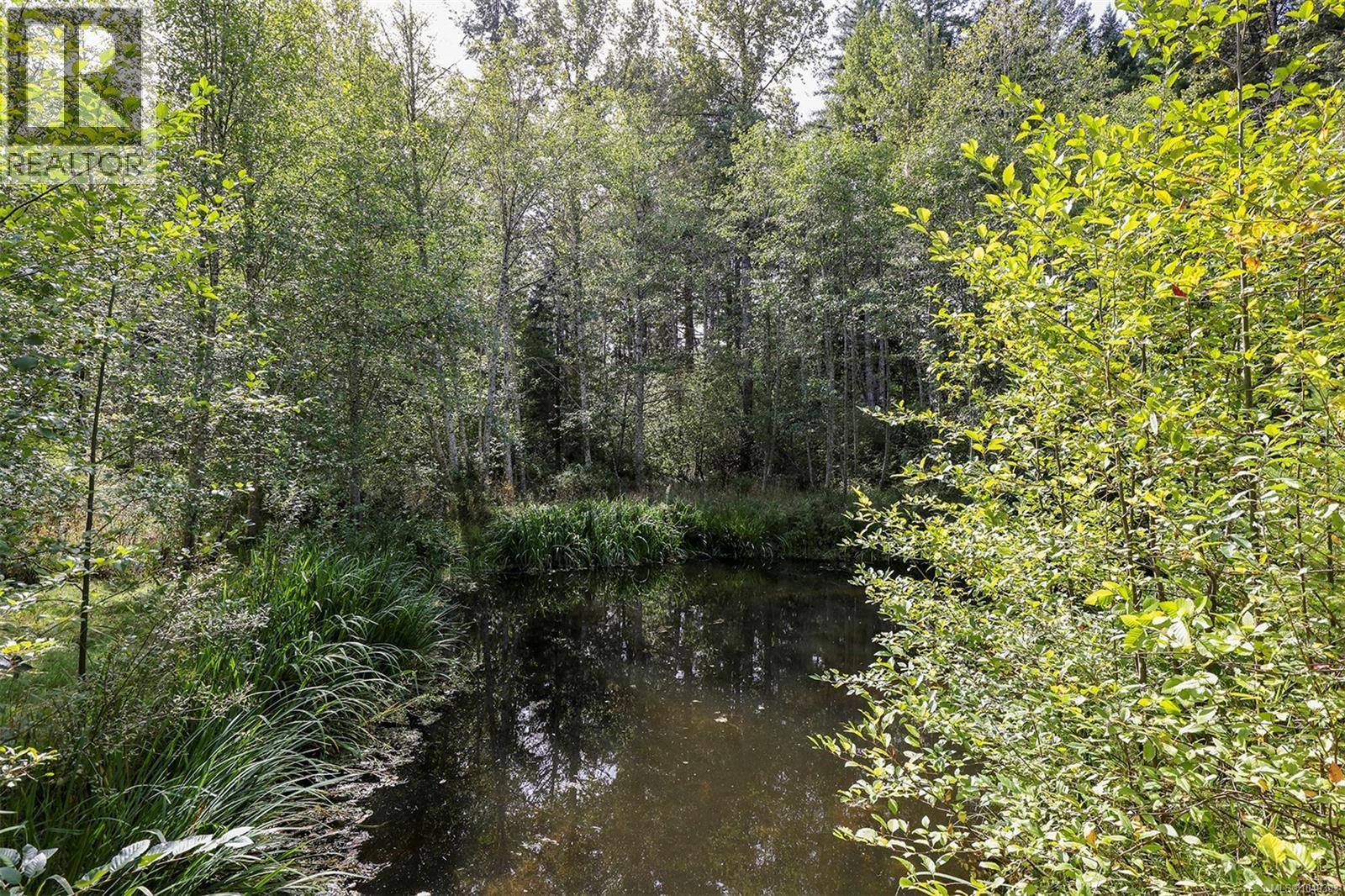 4026 MacAulay Rd - 38