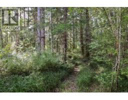 4026 Macaulay Rd, Black Creek, BC V9J1C8 Photo 45