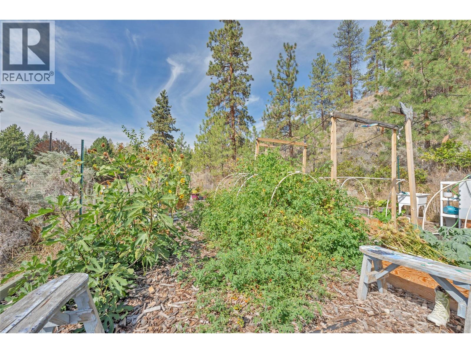 6788 INDIAN ROCK Road - 50
