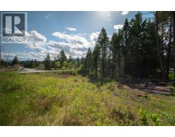 Lot 35 Timber Ridge Road, Windermere, BC V0A1K3 Photo 17