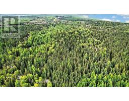 Lot 1 Conc 10 Concession, Cochrane Remote Area, ON P0L1L0 Photo 10