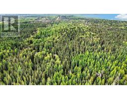 Lot 1 Conc 10 Concession, Cochrane Remote Area, ON P0L1L0 Photo 11