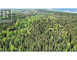 Lot 1 Conc 10 Concession, Cochrane Remote Area, ON P0L1L0 Photo 12