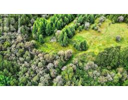 Lot 1 Conc 10 Concession, Cochrane Remote Area, ON P0L1L0 Photo 15