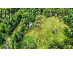Lot 1 Conc 10 Concession, Cochrane Remote Area, ON P0L1L0 Photo 16