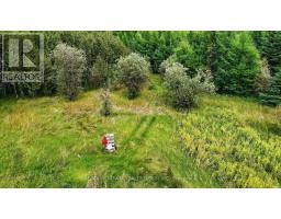 Lot 1 Conc 10 Concession, Cochrane Remote Area, ON P0L1L0 Photo 17