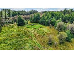 Lot 1 Conc 10 Concession, Cochrane Remote Area, ON P0L1L0 Photo 18