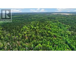 Lot 1 Conc 10 Concession, Cochrane Remote Area, ON P0L1L0 Photo 6