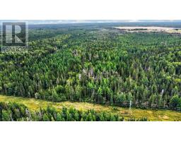 Lot 1 Conc 10 Concession, Cochrane Remote Area, ON P0L1L0 Photo 8