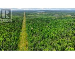 Lot 1 Conc 10 Concession, Cochrane Remote Area, ON P0L1L0 Photo 9