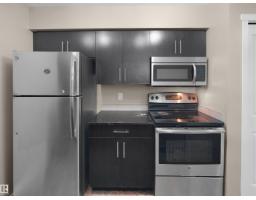 #211 3207 James Mowatt Trail Sw, Edmonton, AB T6W3L6 Photo 19