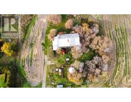 5984 3rd Line, New Tecumseth, ON L0G1W0 Photo 23