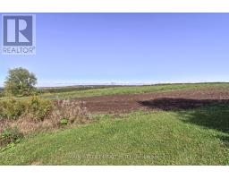 5984 3rd Line, New Tecumseth, ON L0G1W0 Photo 27