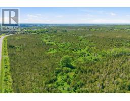 685 County 8 Road, Prince Edward County, ON K0K2T0 Photo 9